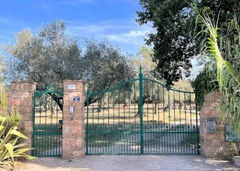 Foto 3 - Villa Pitigliano - foto 3