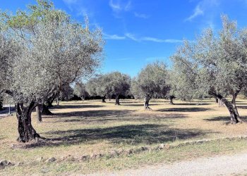 Foto 4 - Villa Pitigliano - foto 4