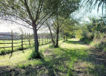 Foto 5 - Azienda agricola pitigliano, Pitigliano - foto 5