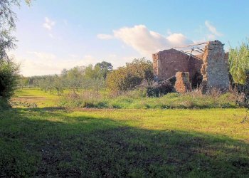 Foto 9 - Azienda agricola pitigliano, Pitigliano - foto 9