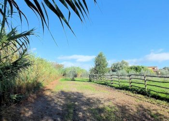 Foto 10 - Azienda agricola pitigliano, Pitigliano - foto 10