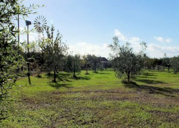 Foto 11 - Azienda agricola pitigliano, Pitigliano - foto 11