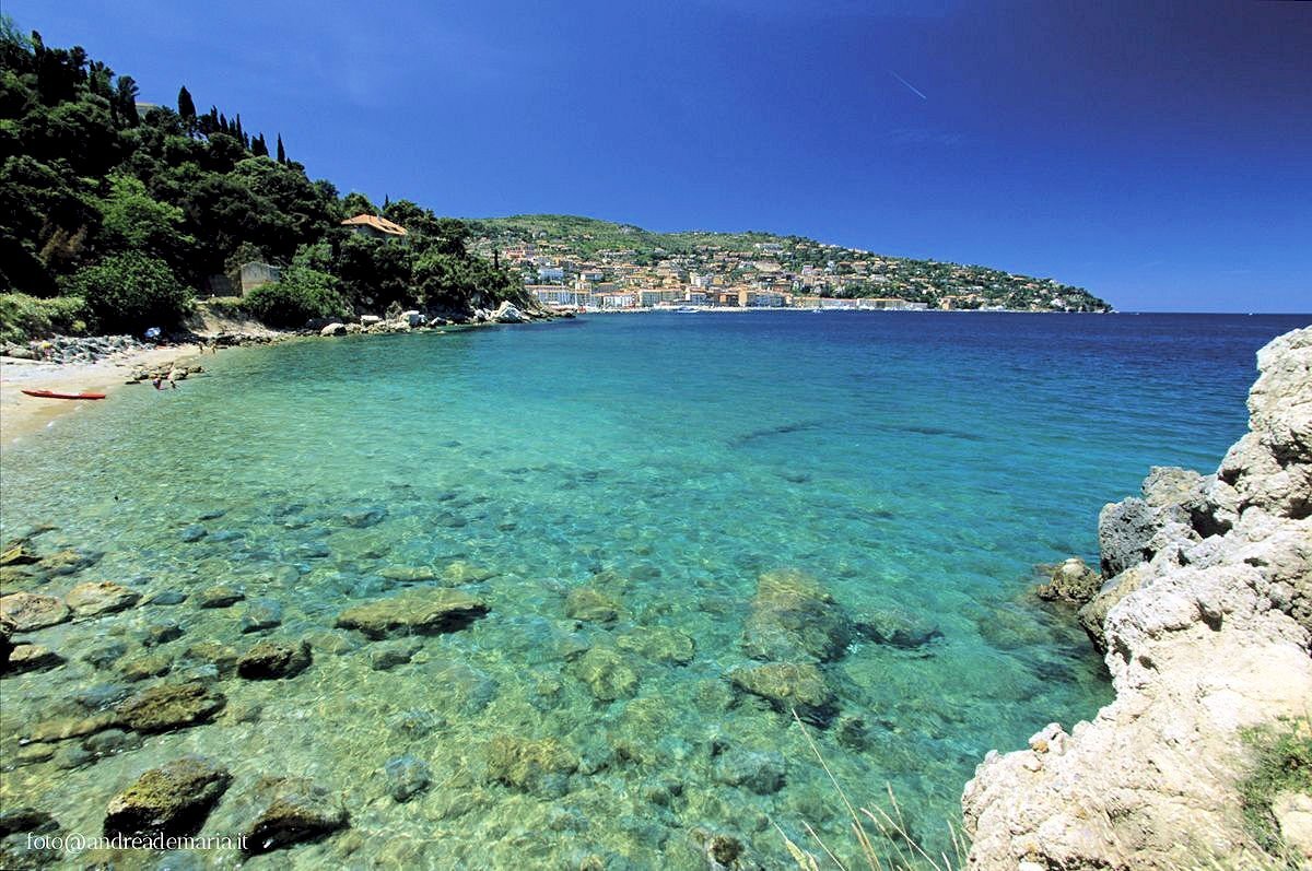 Foto 1 - Attività Commerciale Monte Argentario, Monte Argentario - foto 1