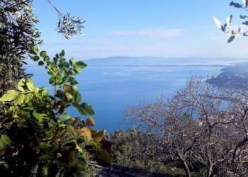 Foto 15 - Villa porto santo stefano, Monte Argentario - photo 15