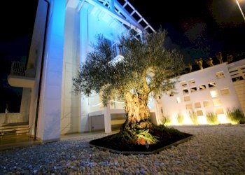 Foto 3 - Villa via dei Platani, Camaiore - foto 3