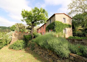 Foto 2 - Rustico colle di Buggiano, Buggiano - foto 2