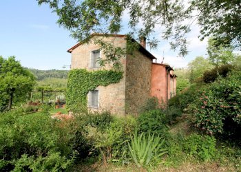 Foto 8 - Rustico colle di Buggiano, Buggiano - foto 8