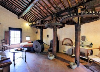 Foto 12 - Rustico Camaiore - foto 12