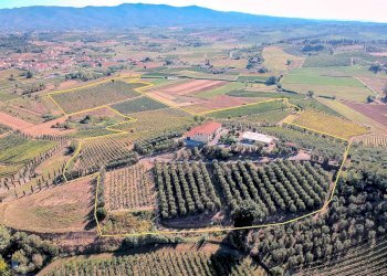 Foto 1 - Rustico Cerreto Guidi, Cerreto Guidi - foto 1