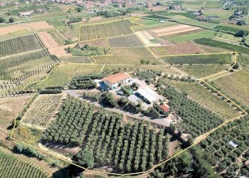 Foto 2 - Rustico Cerreto Guidi, Cerreto Guidi - foto 2