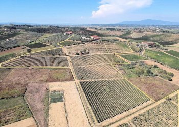 Foto 4 - Rustico Cerreto Guidi, Cerreto Guidi - foto 4