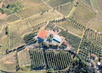 Foto 5 - Rustico Cerreto Guidi, Cerreto Guidi - foto 5