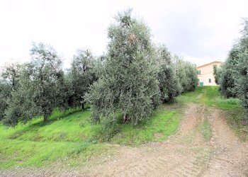 Foto 15 - Rustico Cerreto Guidi, Cerreto Guidi - foto 15