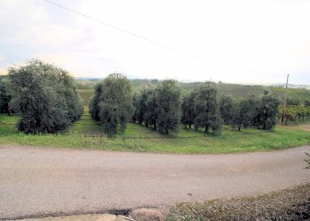 Foto 16 - Rustico Cerreto Guidi, Cerreto Guidi - foto 16