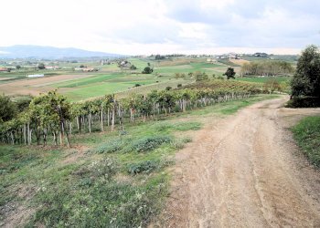 Foto 24 - Rustico Cerreto Guidi, Cerreto Guidi - foto 24