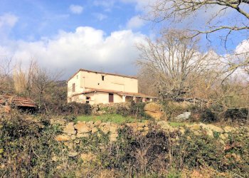 Foto 12 - Rustico le coste, Roccastrada - foto 12