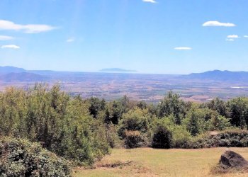 Foto 13 - Rustico le coste, Roccastrada - foto 13