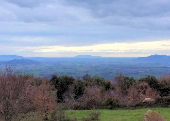 Foto 17 - Rustico le coste, Roccastrada - foto 17