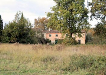 Foto 4 - Rustico Strada provinciale dei Biagioni, Altopascio - foto 4