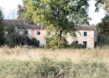 Foto 5 - Rustico Strada provinciale dei Biagioni, Altopascio - foto 5