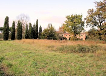 Foto 9 - Rustico Strada provinciale dei Biagioni, Altopascio - foto 9