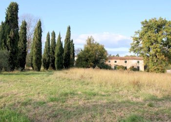 Foto 14 - Rustico Strada provinciale dei Biagioni, Altopascio - foto 14