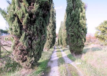 Foto 16 - Rustico Strada provinciale dei Biagioni, Altopascio - foto 16