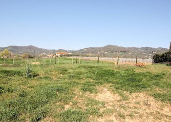 Foto 6 - Terreno edificabile Larciano - foto 6