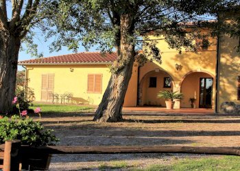 Foto 12 - Rustico Massa Marittima - foto 12