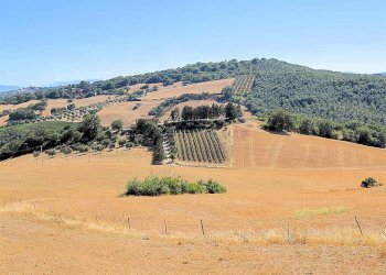 Foto 1 - Rustico Pereta, Magliano in Toscana - foto 1