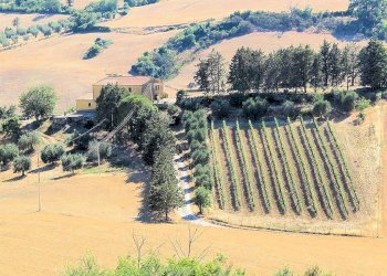 Foto 3 - Rustico Pereta, Magliano in Toscana - foto 3