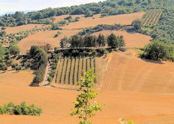 Foto 6 - Rustico Pereta, Magliano in Toscana - foto 6