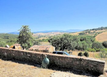 Foto 8 - Rustico Pereta, Magliano in Toscana - foto 8