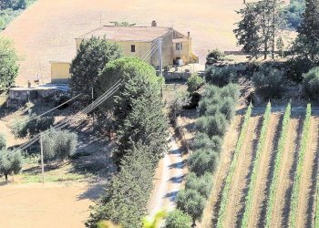 Foto 10 - Rustico Pereta, Magliano in Toscana - foto 10