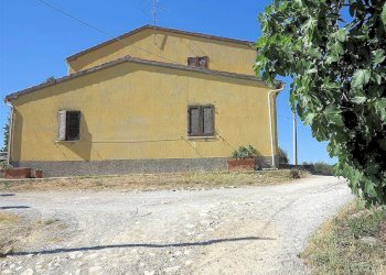 Foto 12 - Rustico Pereta, Magliano in Toscana - foto 12