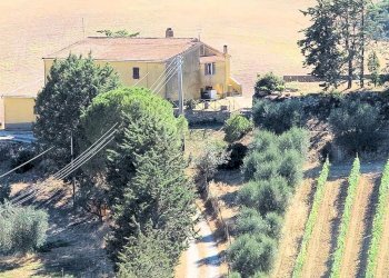 Foto 15 - Rustico Pereta, Magliano in Toscana - foto 15