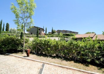 Foto 16 - Rustico Scansano - foto 16