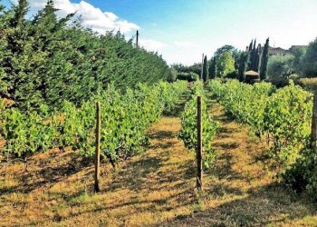 Foto 4 - Rustico Cortona - foto 4