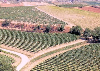 Foto 1 - Rustico Montepulciano - foto 1