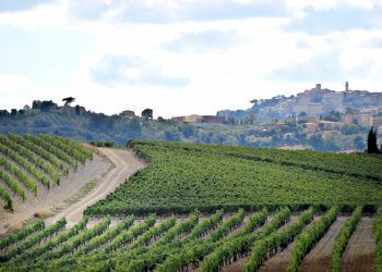 Foto 2 - Rustico Montepulciano - foto 2