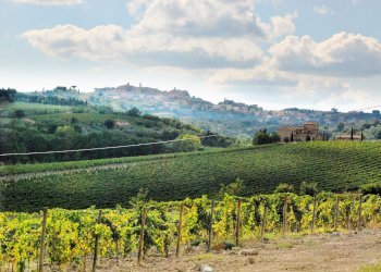 Foto 3 - Rustico Montepulciano - foto 3