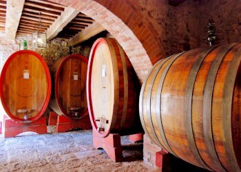 Foto 5 - Rustico Montepulciano - foto 5