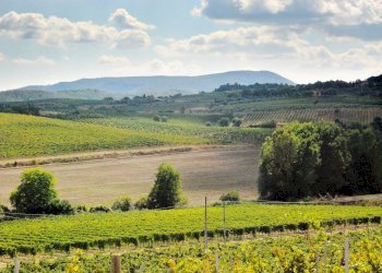 Foto 7 - Rustico Montepulciano - foto 7