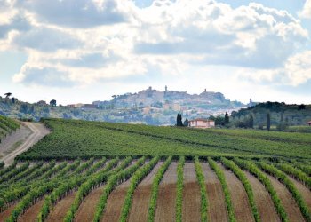 Foto 8 - Rustico Montepulciano - foto 8