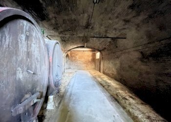 Foto 18 - Villa Capannoli - foto 18