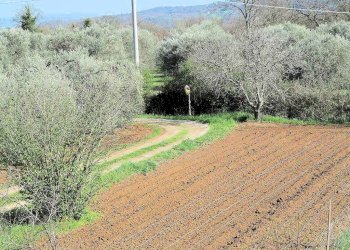 Foto 2 - Rustico ravi, Gavorrano - foto 2