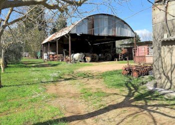 Foto 4 - Rustico ravi, Gavorrano - foto 4