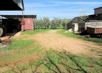 Foto 5 - Rustico ravi, Gavorrano - foto 5