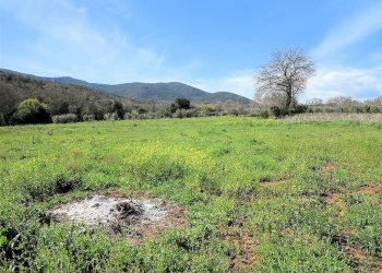 Foto 11 - Rustico ravi, Gavorrano - foto 11