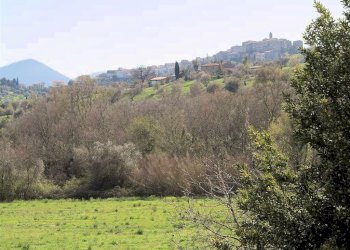 Foto 17 - Rustico ravi, Gavorrano - foto 17